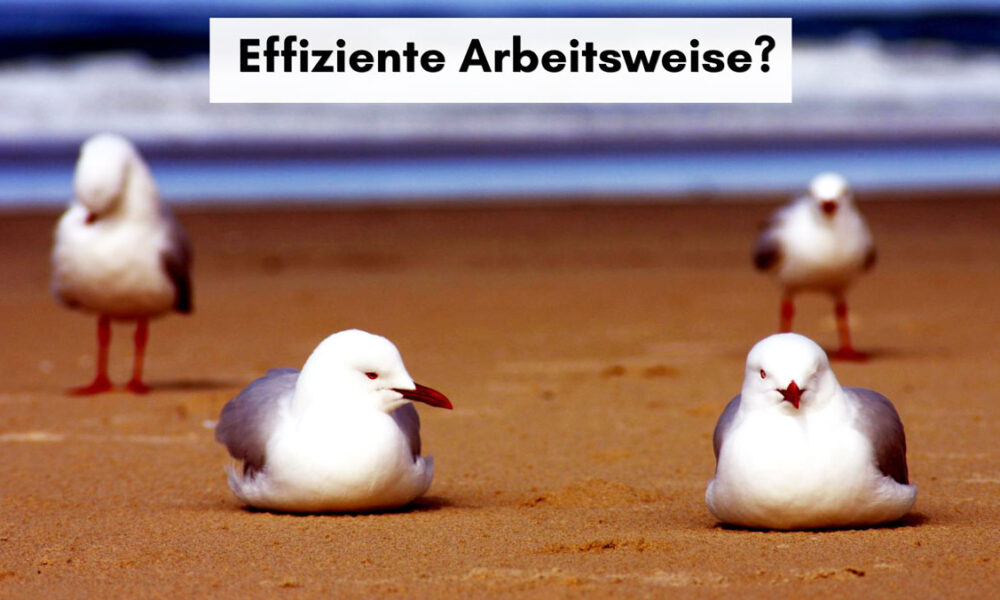 Große Aufgaben effizient erledigen Tipps zur Erledigung großer Aufgaben