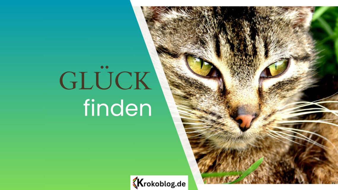 glueck-finden