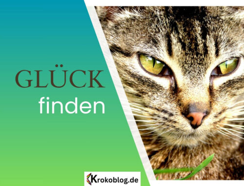 glueck-finden