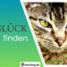glueck-finden