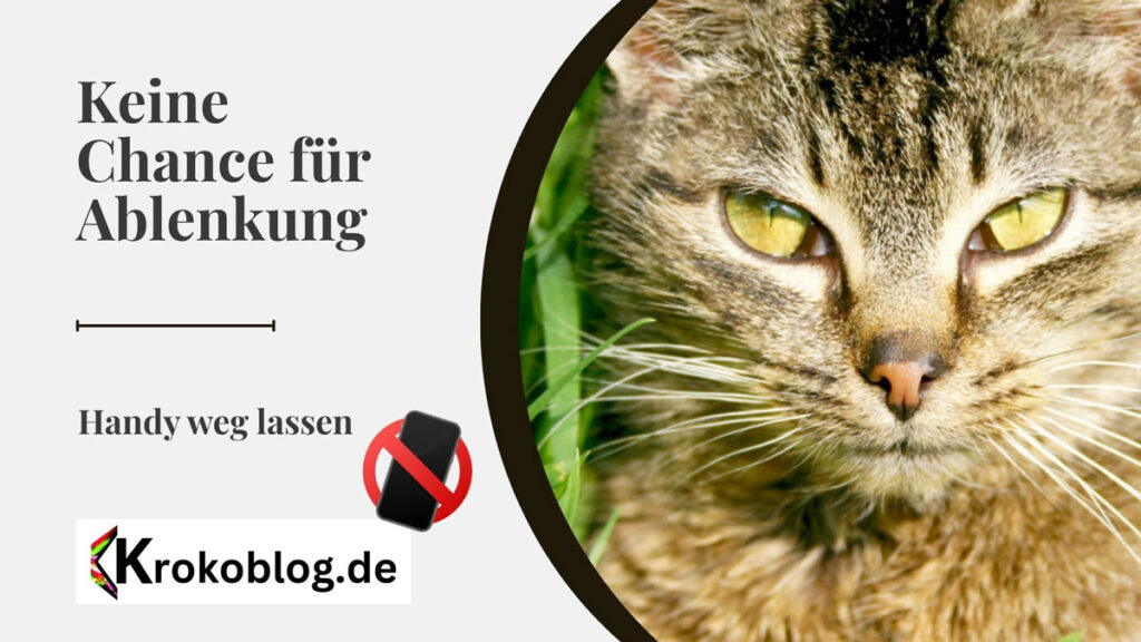 konzentriert arbeiten und einfach handy weglassen