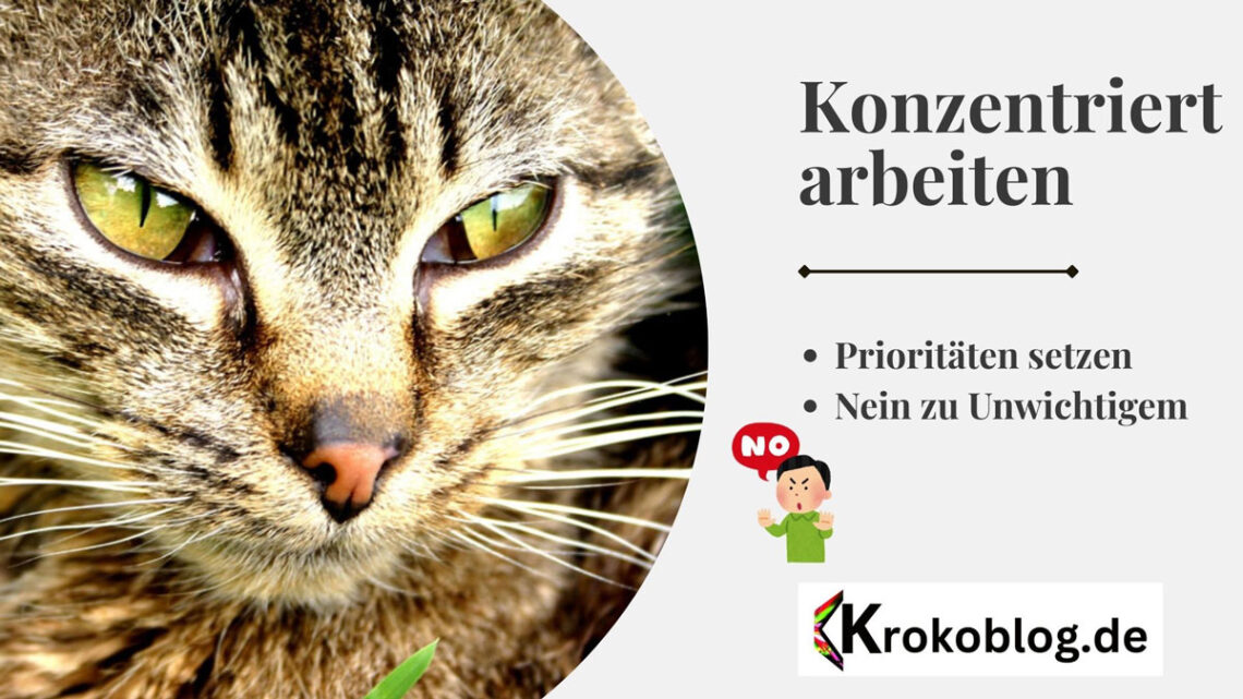 konzentriert-arbeiten