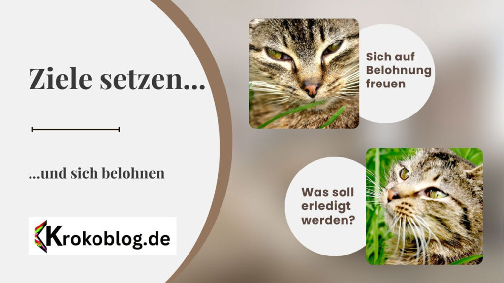 konzentriert arbeiten heisst ziele setzen und sich danach belohnen