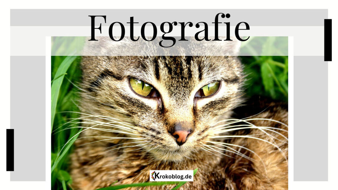 fotografie