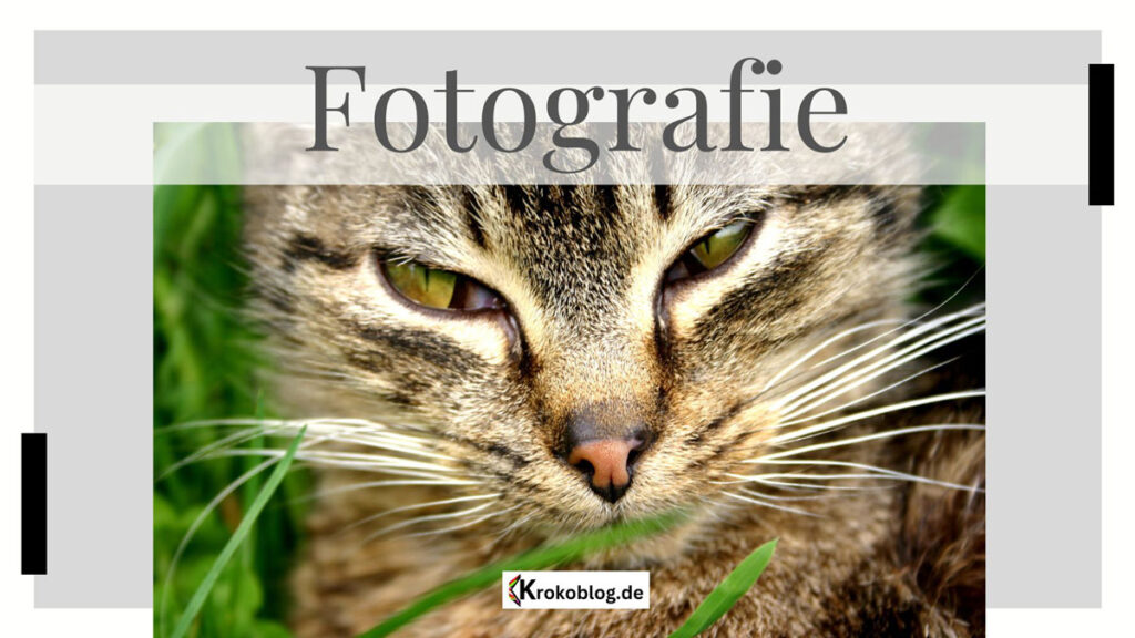 Ein Augenblick ist ein kurzer Moment in der Fotografie. 