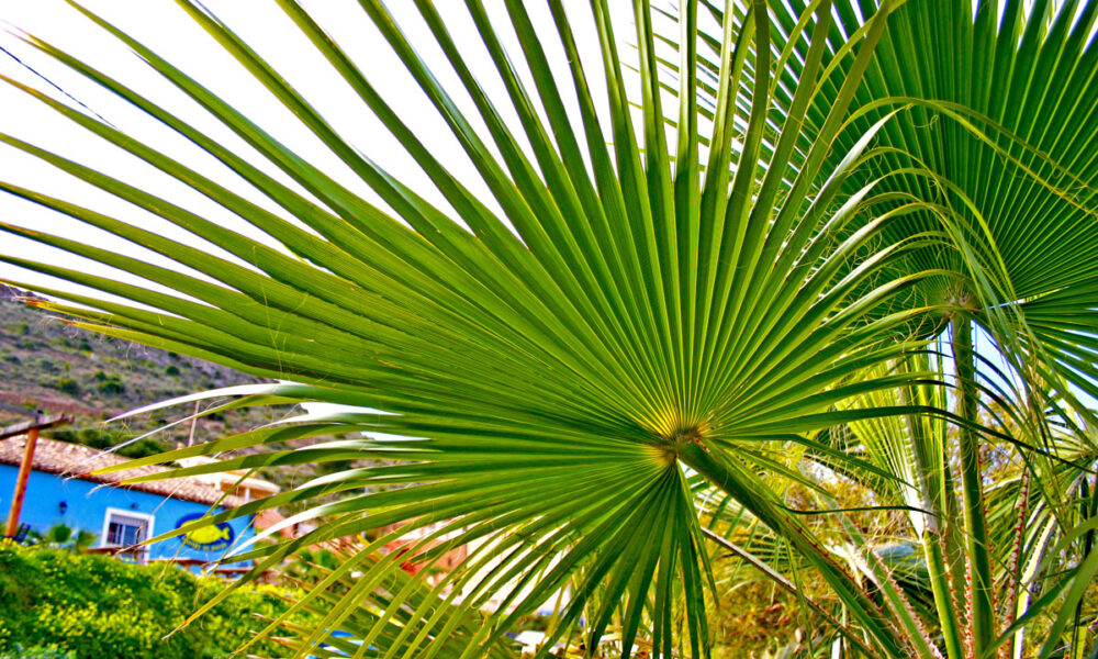 Spanien unterwegs Spanien unterwegs