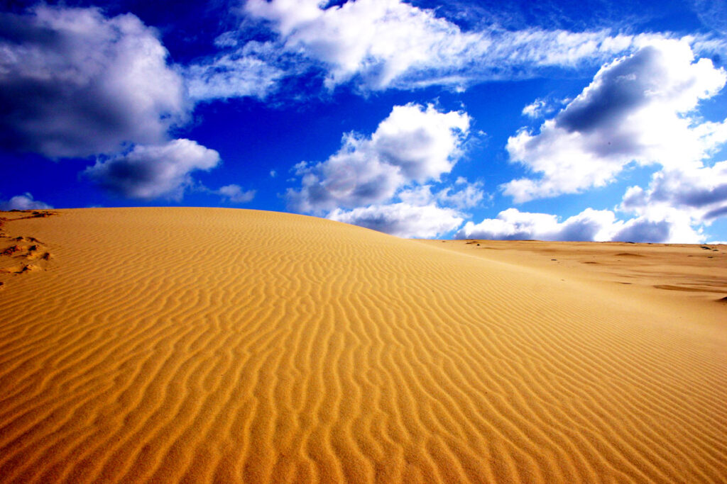 Dune de Pyla Frankreich